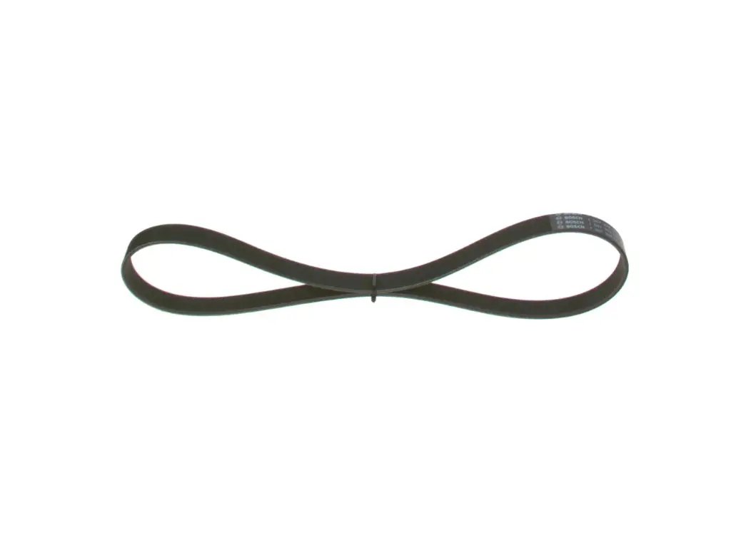 Correa Accesorios