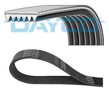 Correa trapecial poli V Dayco